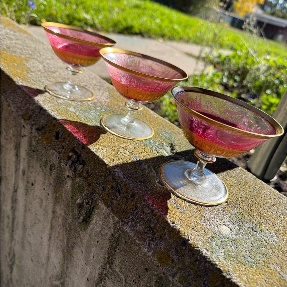 Vintage Pink and Gold Rimmed Glasses